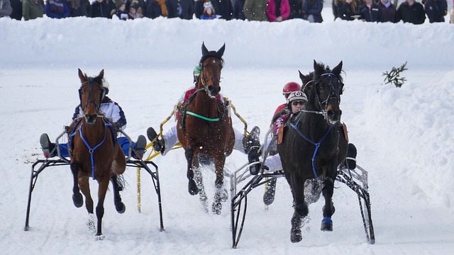 这座伟大城 这座伟大城