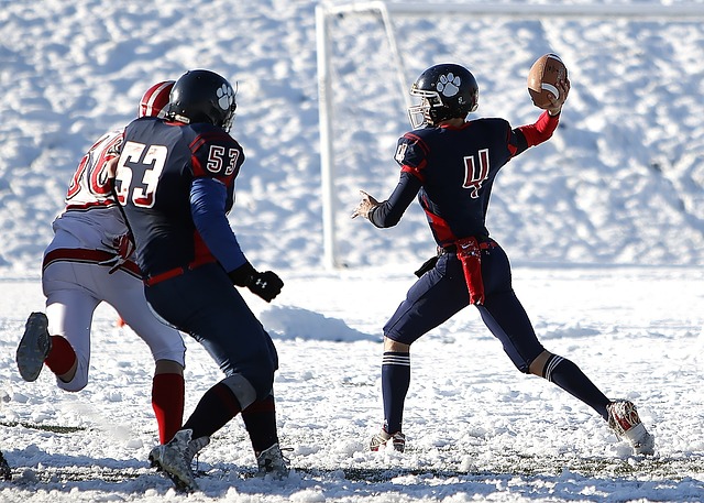 轉會窗口的 轉會窗口的