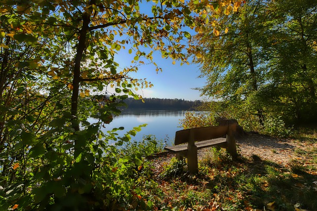 的方式為球 的方式為球