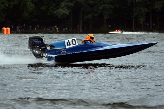 期待着阿尔 期待着阿尔