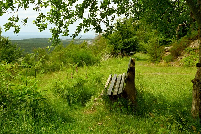 妙的推射为 妙的推射为