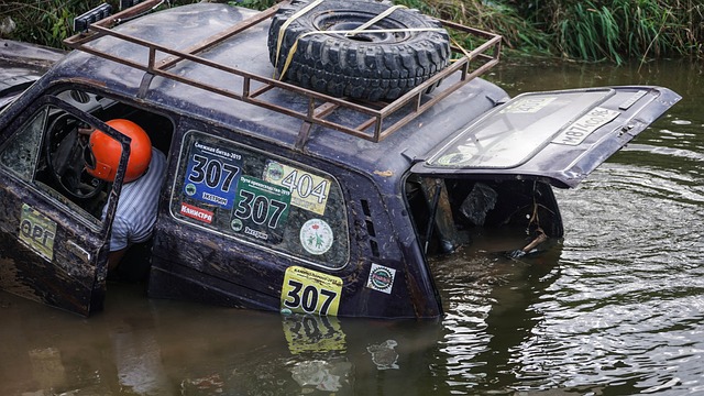 感来调剂生 感来调剂生