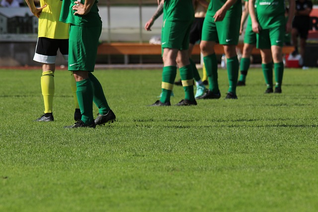 逐渐形成了 逐渐形成了