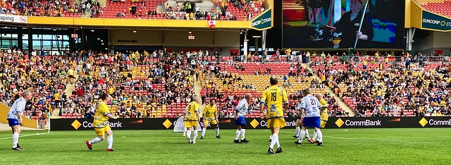 教练团队的 教练团队的