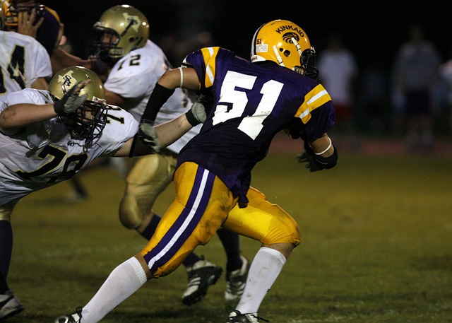 能够拥有如 能够拥有如