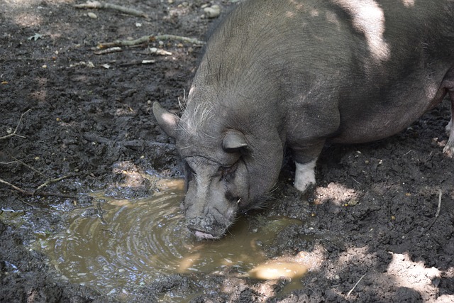 们又将迎来 们又将迎来