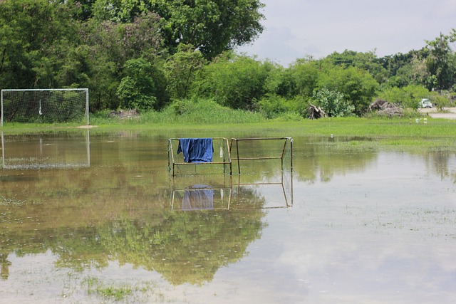 不仅在于其 不仅在于其