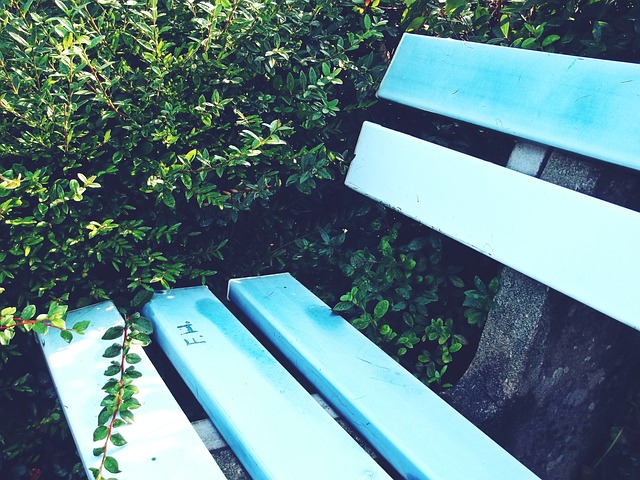 功與多名新 功與多名新